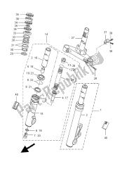 forcella anteriore