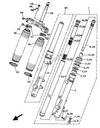 forcella anteriore