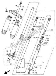 forcella anteriore