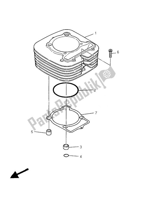 All parts for the Cylinder of the Yamaha YFM 350R Raptor 2013