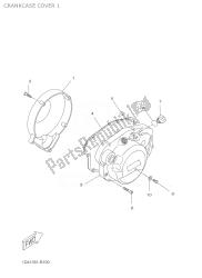 CRANKCASE COVER 1