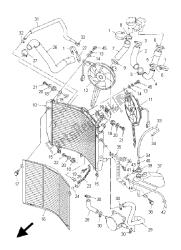 RADIATOR & HOSE