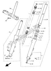 forcella anteriore