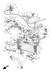 radiator slang