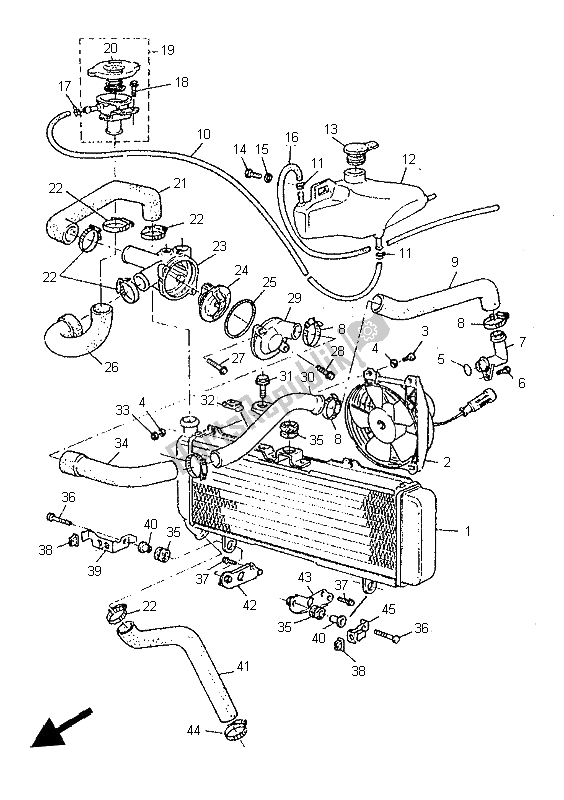 Tutte le parti per il Tubo Del Radiatore del Yamaha SZR 660 1997