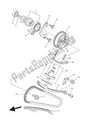 CAMSHAFT & CHAIN