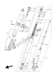 forcella anteriore