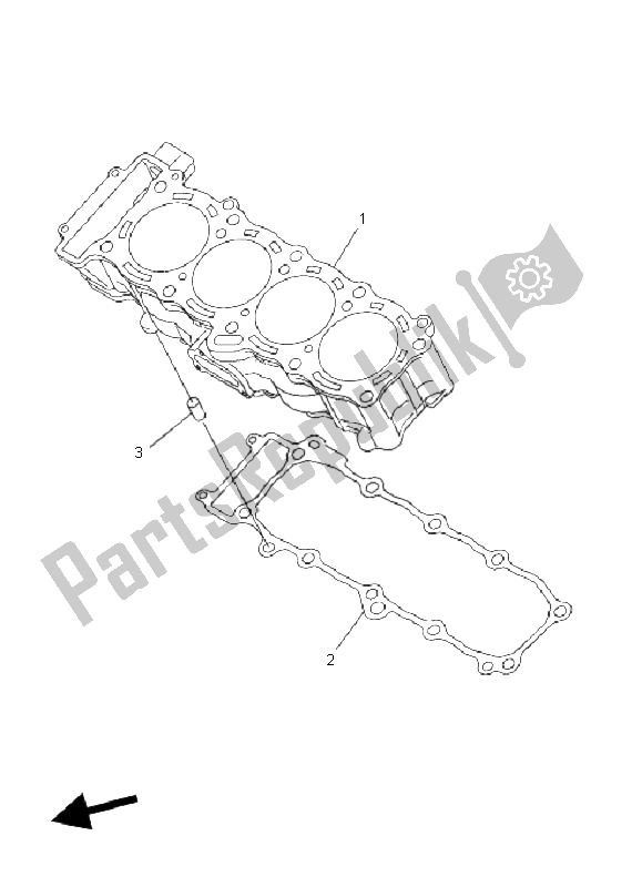 Tutte le parti per il Cilindro del Yamaha FZ1 S Fazer 1000 2009