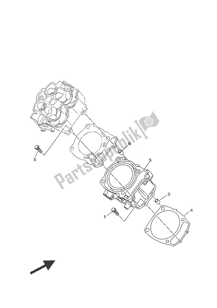 All parts for the Cylinder of the Yamaha YXE 700E 2016