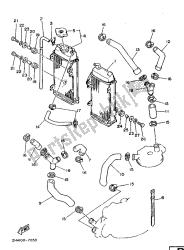 RADIATOR HOSE