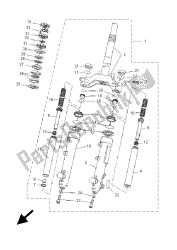 forcella anteriore