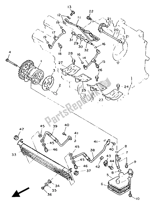 Tutte le parti per il Pompa Dell'olio del Yamaha FZR 1000 1990