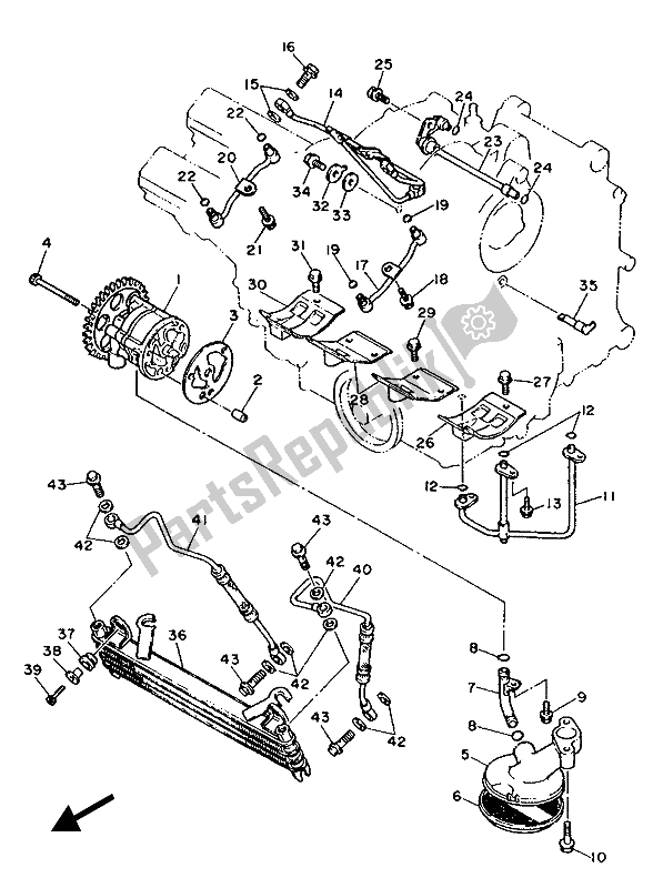 Tutte le parti per il Pompa Dell'olio del Yamaha FZR 1000 1987