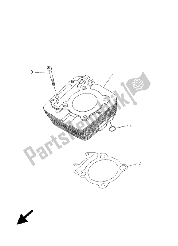 Tutte le parti per il Cilindro del Yamaha XG 250 Tricker 2005