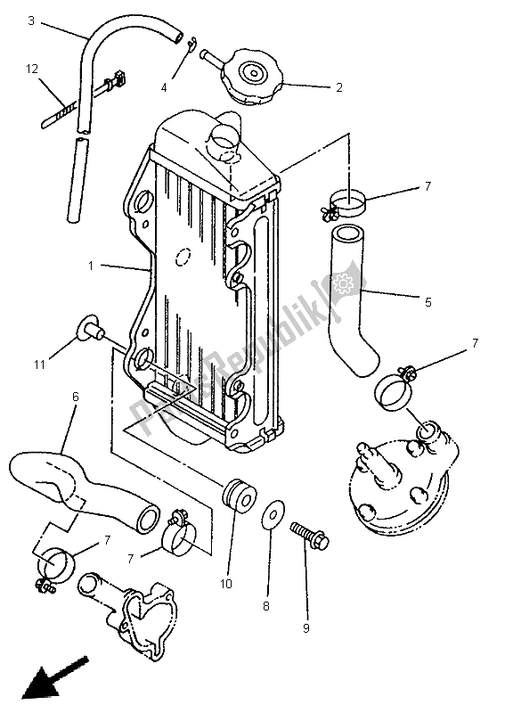 All parts for the Radiator & Hose of the Yamaha YZ 80 LC 1997