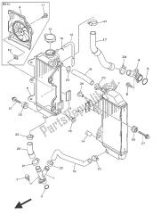 RADIATOR & HOSE