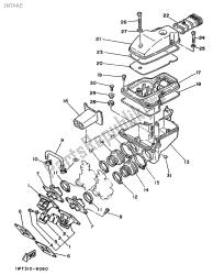 Intake