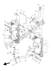 RADIATOR & HOSE