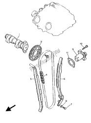 CAMSHAFT & CHAIN