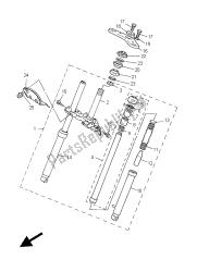 forcella anteriore