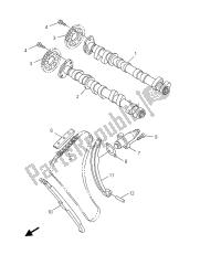 CAMSHAFT & CHAIN