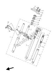 forcella anteriore