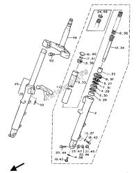 forcella anteriore