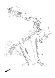 CAMSHAFT & CHAIN