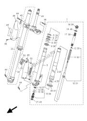 forcella anteriore