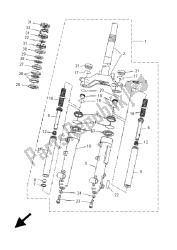 forcella anteriore