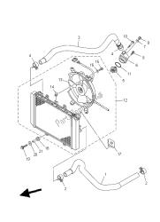 RADIATOR & HOSE