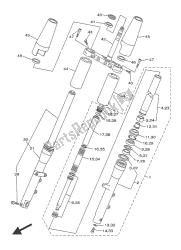 forcella anteriore