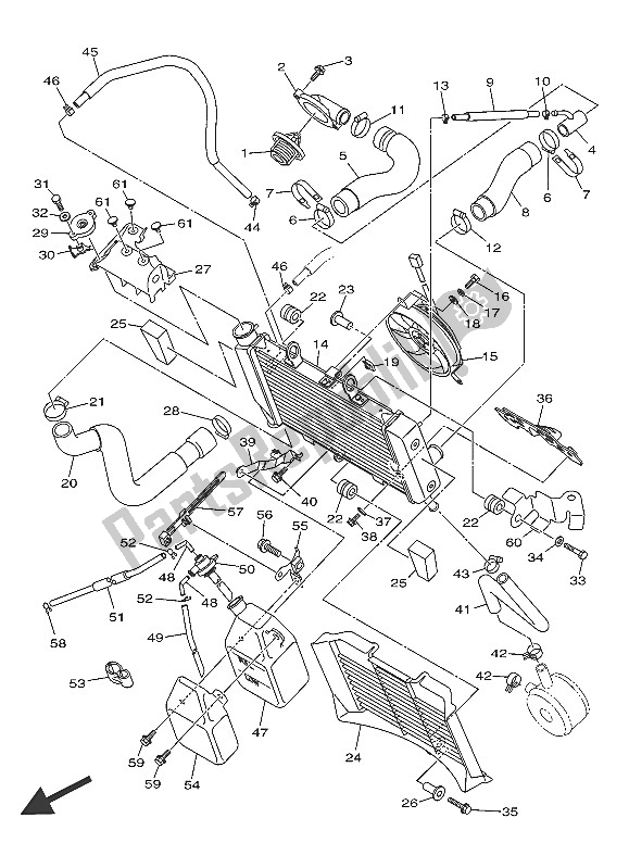 All parts for the Radiator & Hose of the Yamaha AJS6 SAP 2016