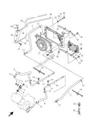 RADIATOR & HOSE