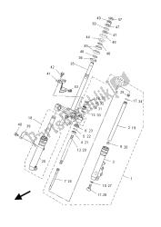 forcella anteriore