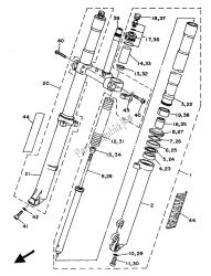 forcella anteriore