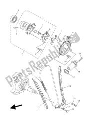 CAMSHAFT & CHAIN