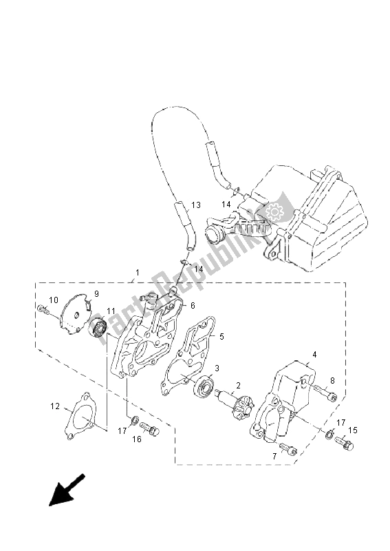 All parts for the Water Pump of the Yamaha XF 50 4T Giggle 2009