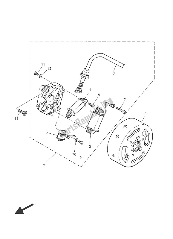 All parts for the Generator of the Yamaha PW 50 2016