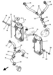 RADIATOR & HOSE