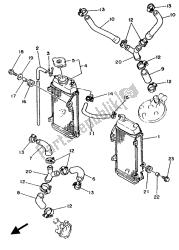 tubo del radiatore