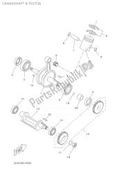 CRANKSHAFT & PISTON