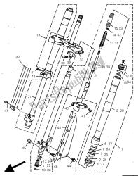 forcella anteriore