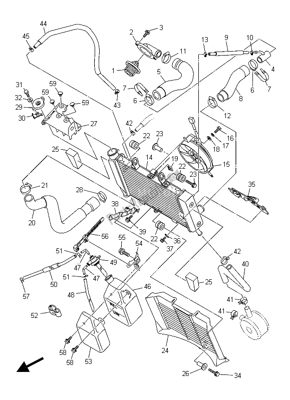 All parts for the Radiator & Hose of the Yamaha XJ6S 600 2015