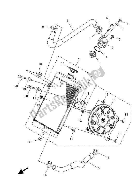 All parts for the Radiator & Hose of the Yamaha YFM 700 RD 2013