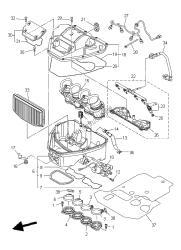 Intake