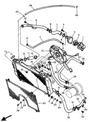 tubo del radiatore