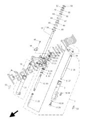 forcella anteriore