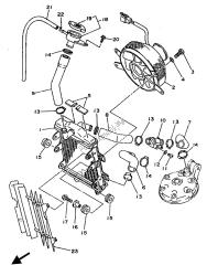 RADIATOR & HOSE