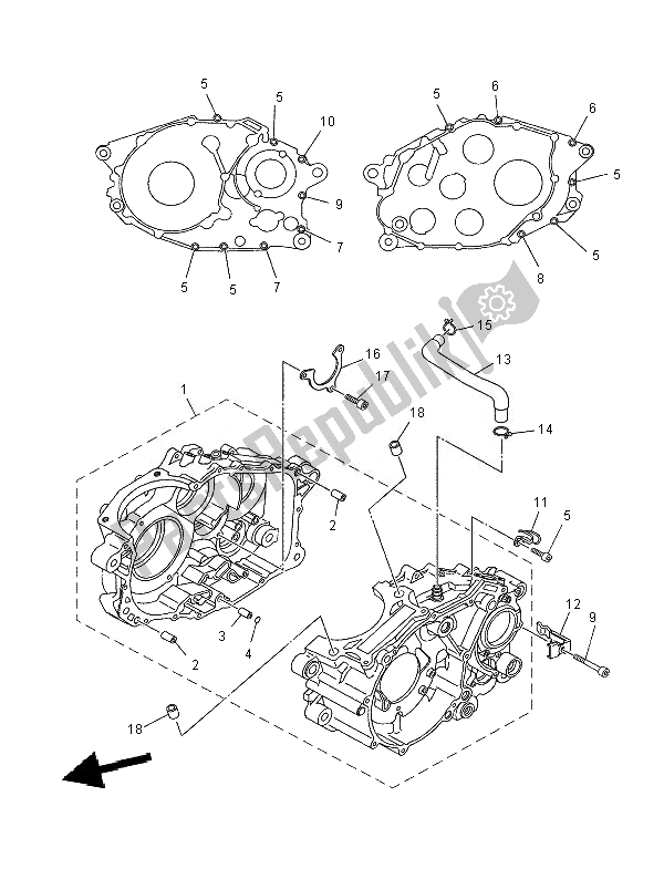 Tutte le parti per il Carter del Yamaha XT 660R 2007